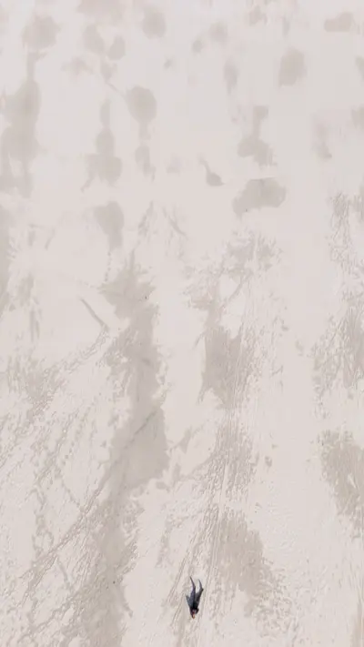 Motion Loop · Portrait