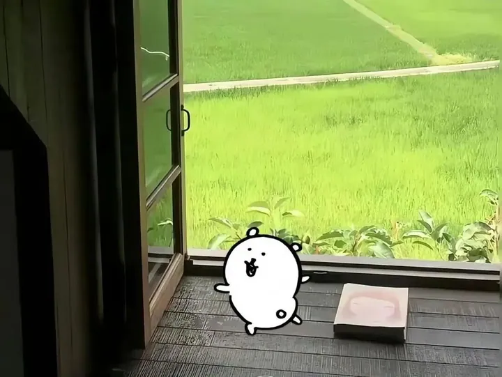 desktop · 电脑壁纸
